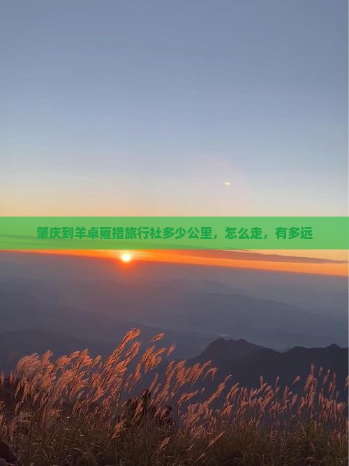 肇庆到西藏羊卓雍措旅行社