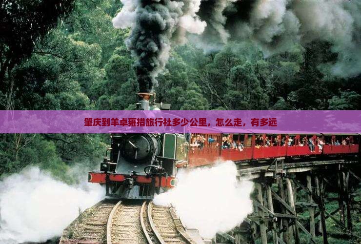 肇庆到西藏羊卓雍措旅行社