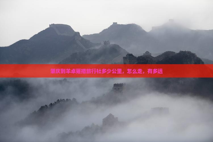 肇庆到西藏羊卓雍措旅行社