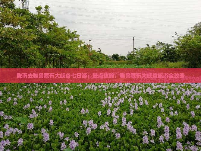 陇南去西藏雅鲁藏布大峡谷七日游