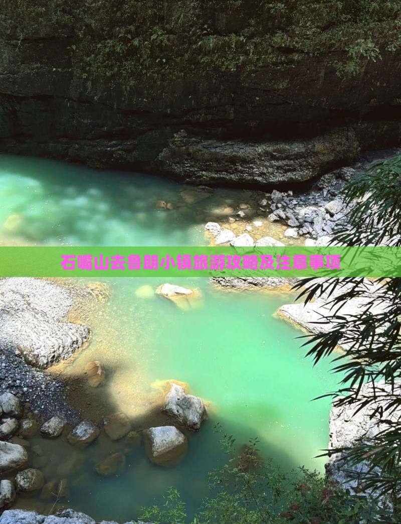 石嘴山去西藏鲁朗小镇旅游