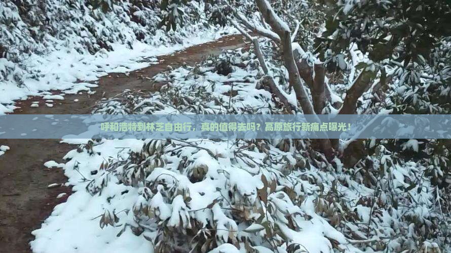 呼和浩特到西藏林芝自由行