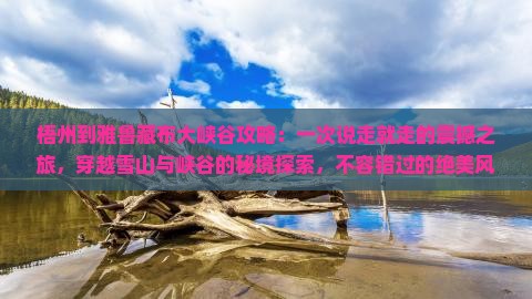 梧州到西藏雅鲁藏布大峡谷攻略