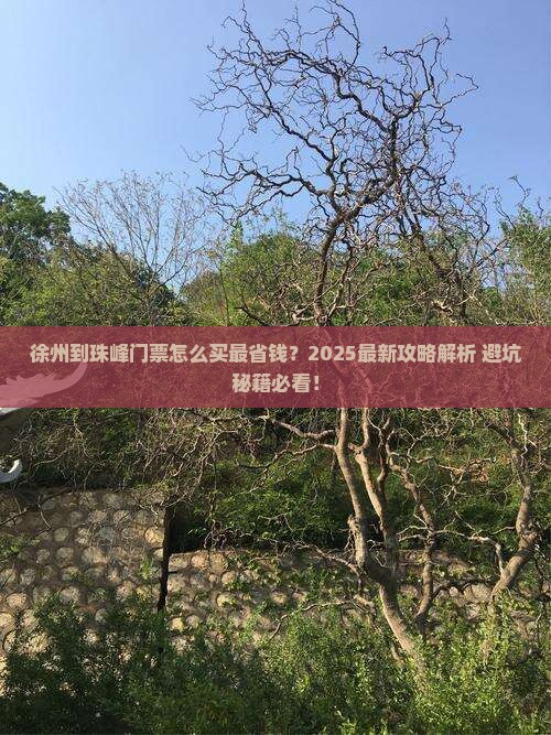 徐州到西藏珠峰大本营门票