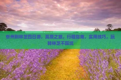 忻州到西藏林芝四日游