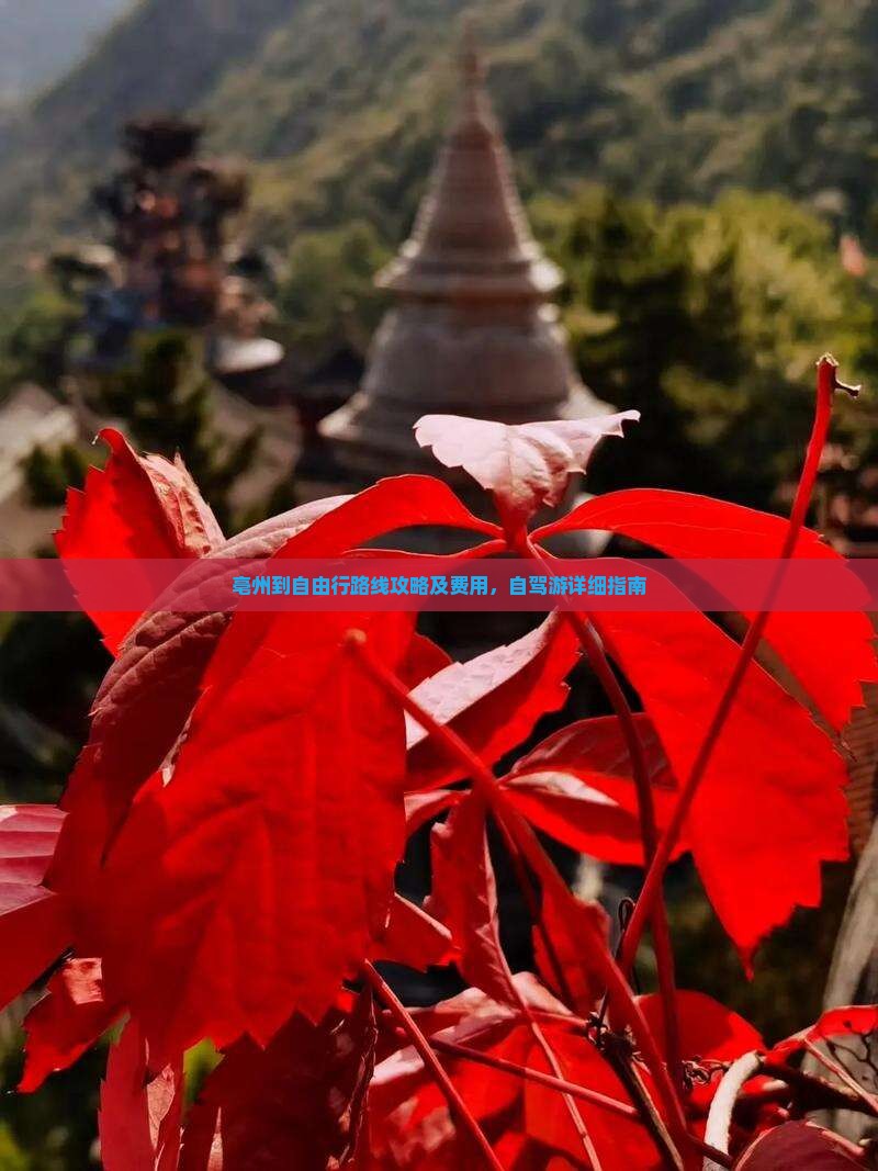 亳州到西藏自由行