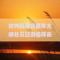 钦州到西藏雅鲁藏布大峡谷五日游