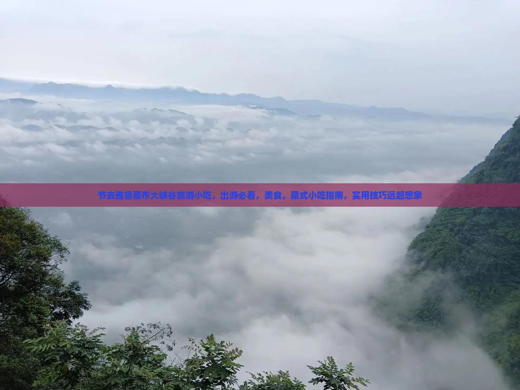 国庆节去西藏雅鲁藏布大峡谷旅游小吃