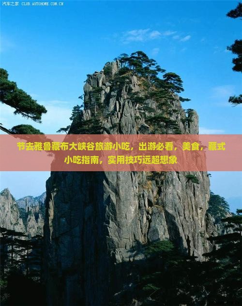 国庆节去西藏雅鲁藏布大峡谷旅游小吃