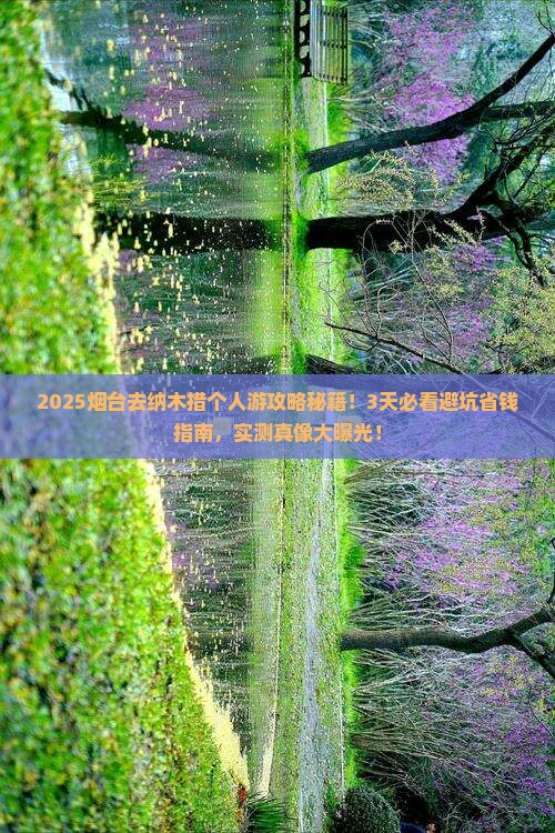 烟台去西藏纳木措个人游