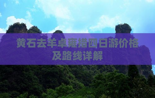 黄石去西藏羊卓雍措四日游