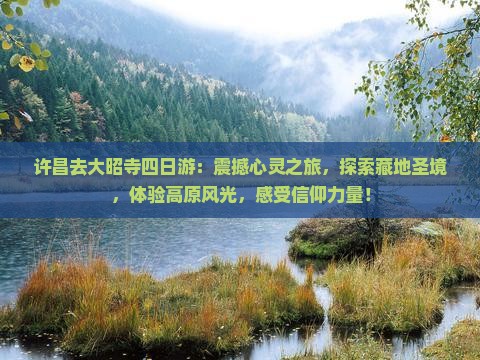许昌去西藏大昭寺四日游