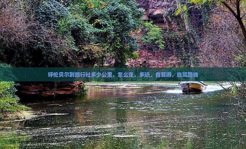 呼伦贝尔到西藏旅行社