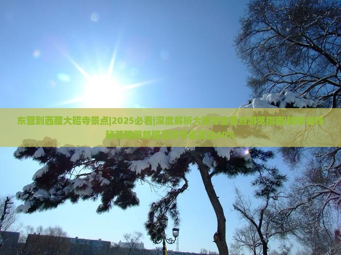 东营到西藏大昭寺景点