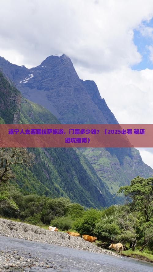 遂宁去西藏拉萨门票