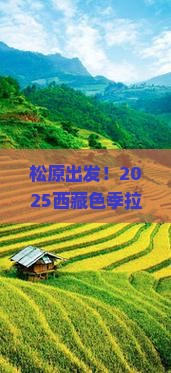松原去西藏色季拉山三日游