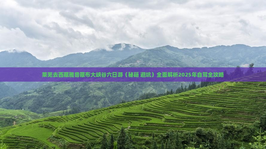 莱芜去西藏雅鲁藏布大峡谷六日游