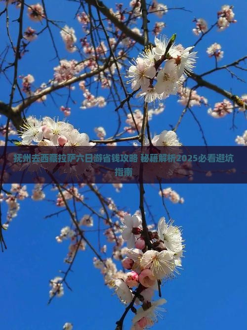 抚州去西藏拉萨六日游