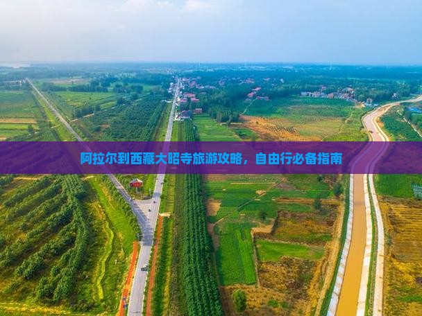 阿拉尔到西藏大昭寺自由团