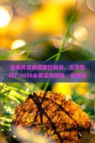 张家界去西藏日喀则五日游