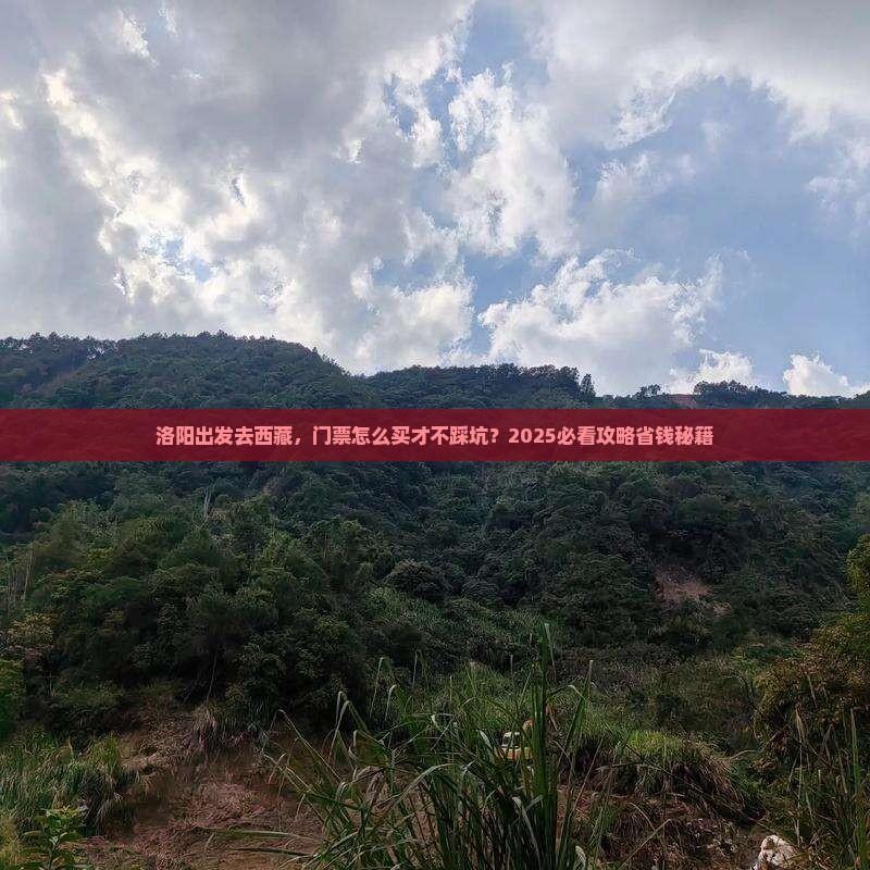 洛阳去西藏门票