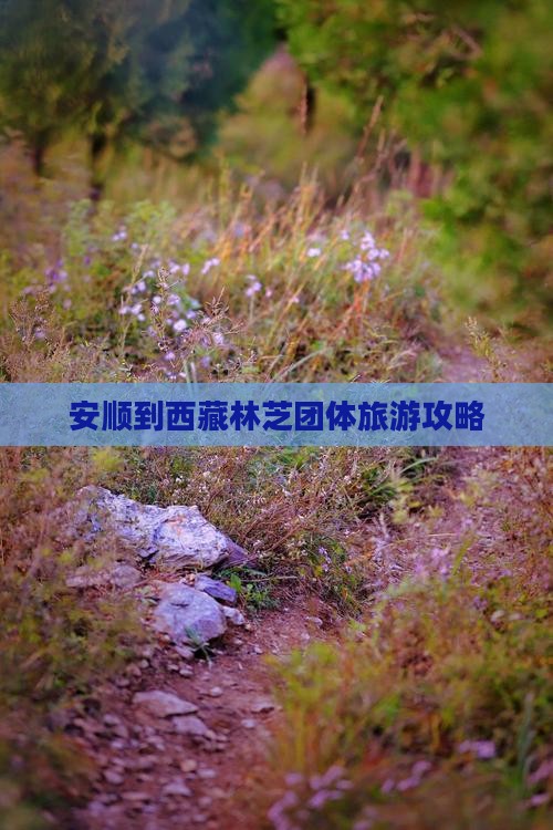 安顺去西藏林芝团体旅游