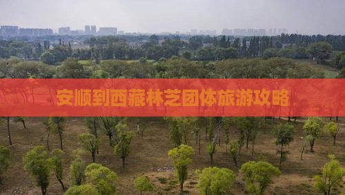 安顺去西藏林芝团体旅游