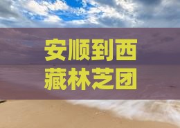 安顺去西藏林芝团体旅游