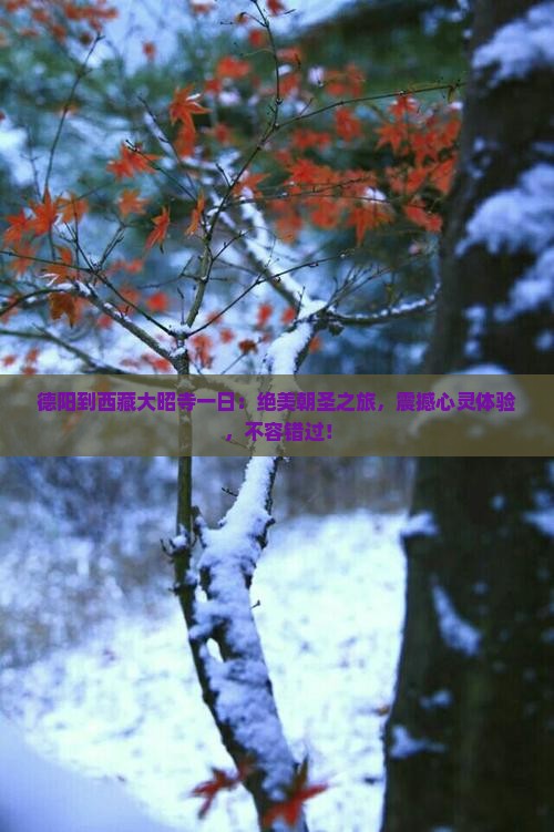德阳到西藏大昭寺一日