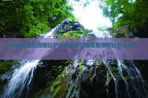 阿拉善盟到西藏拉萨自由团