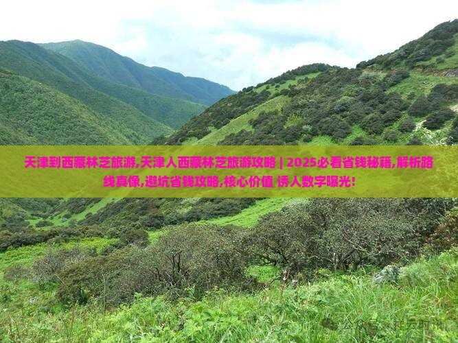 天津到西藏林芝旅游