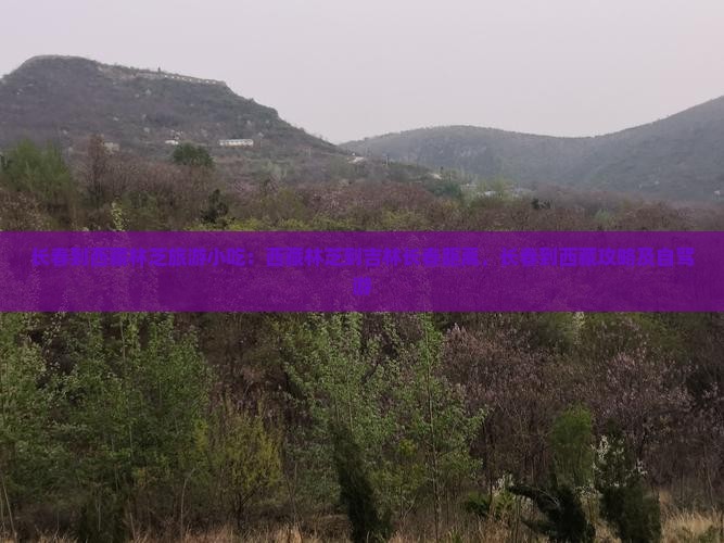 长春到西藏林芝旅游小吃