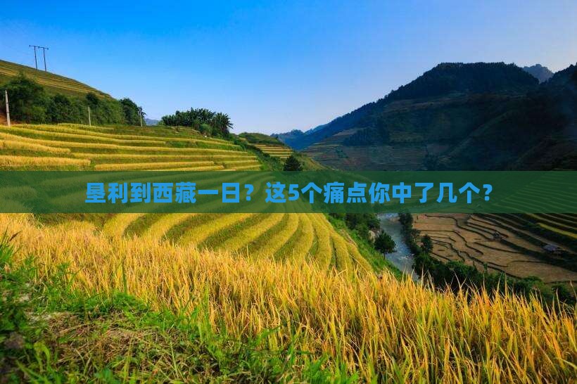垦利到西藏一日