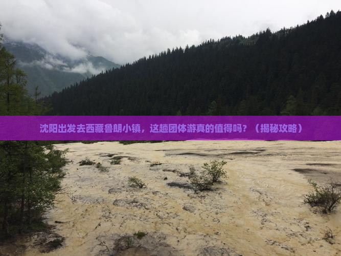 沈阳去西藏鲁朗小镇团体旅游
