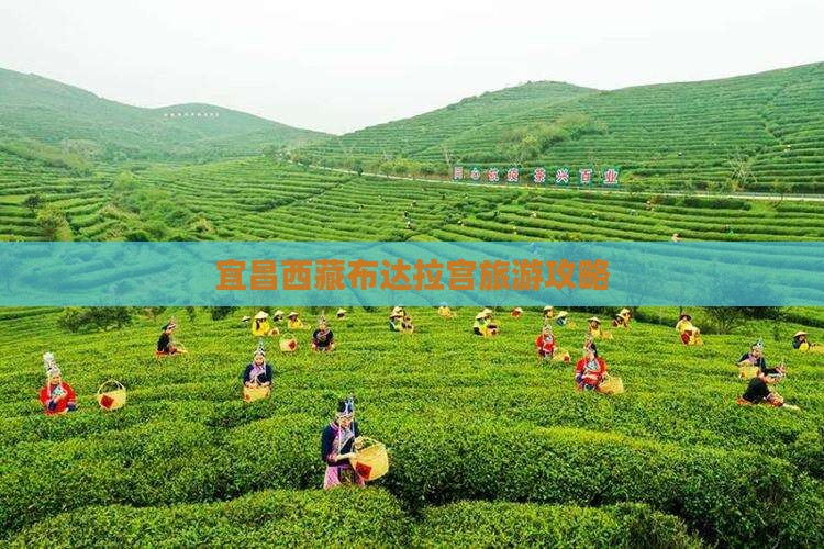 宜昌去西藏布达拉宫自由团