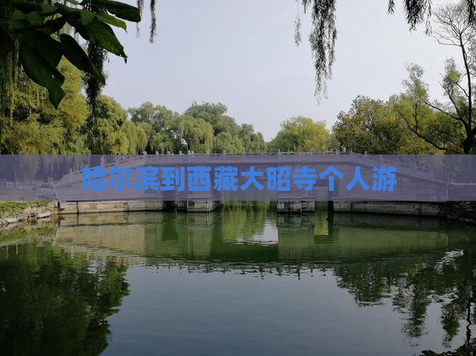 哈尔滨到西藏大昭寺个人游