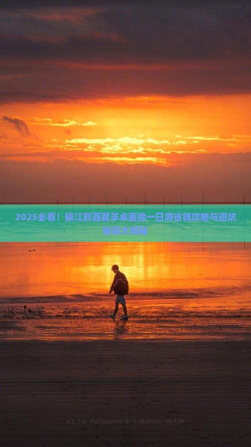 镇江到西藏羊卓雍措一日