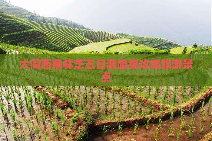 大同去西藏林芝五日游