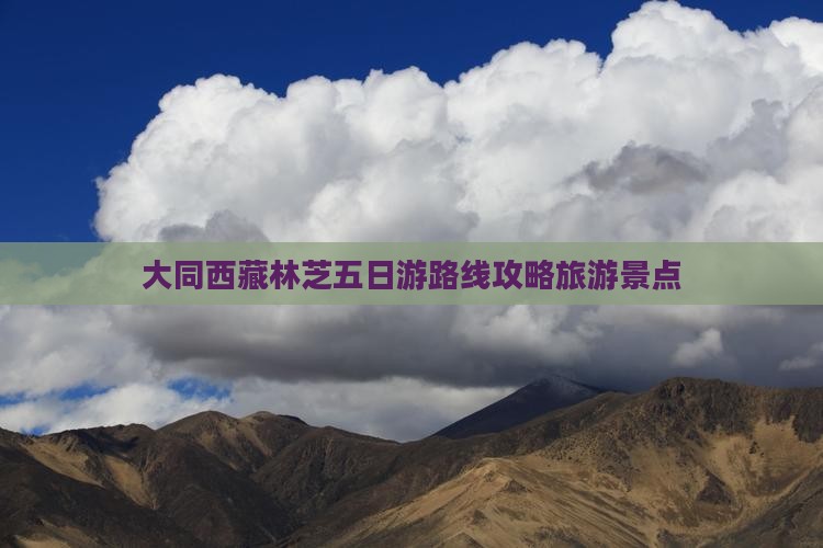 大同去西藏林芝五日游