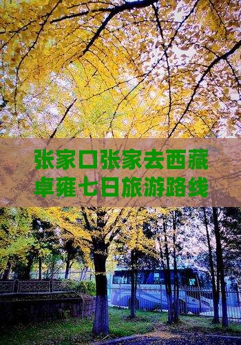 张家口去西藏羊卓雍措七日游