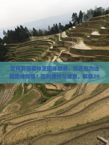 吉林到西藏林芝团体旅游