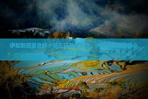 伊犁到西藏鲁朗小镇五日游