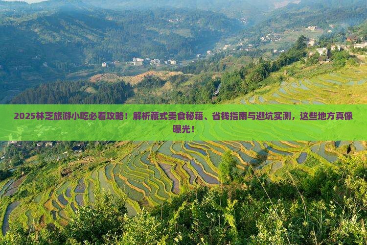 朝阳去西藏林芝旅游小吃