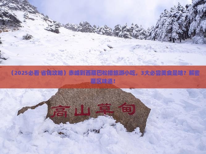 赤峰到西藏巴松措旅游小吃