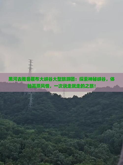 黑河去西藏雅鲁藏布大峡谷大型旅游团