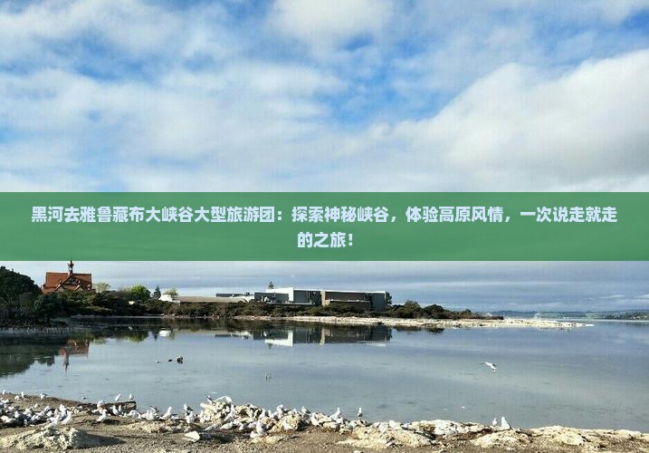 黑河去西藏雅鲁藏布大峡谷大型旅游团