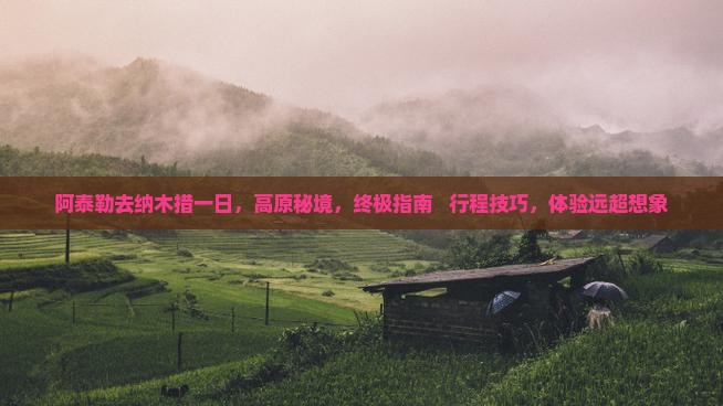 阿泰勒去西藏纳木措一日