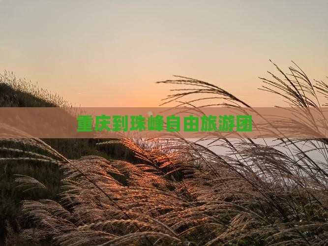 重庆到西藏珠峰大本营自由团