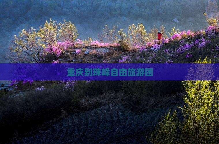 重庆到西藏珠峰大本营自由团