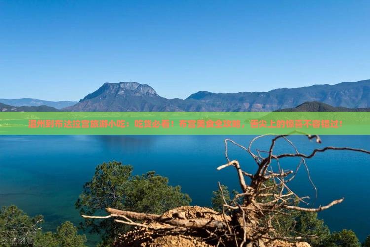温州到西藏布达拉宫旅游小吃 温州到西藏布达拉宫旅游小吃